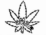 Weed Plant Cartoon Leaf Clipart Pot Joint Smoking Outline Library sketch template