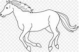 Putih Hitam Kuda Diwarnai Running Poni Pngdownload Kolase Kumpulan Freewaremini Webstockreview Library sketch template