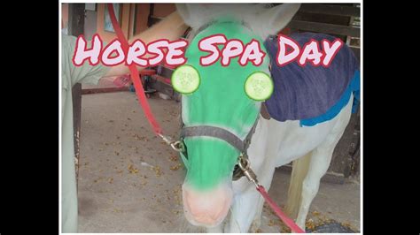 relax   horse spa day  relaxation  youtube