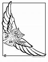 Owl Flying Coloring Pages Owls Print sketch template