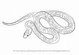 Python Draw Drawing Spotted Step Drawings Snakes Learn Paintingvalley Tutorials Drawingtutorials101 sketch template