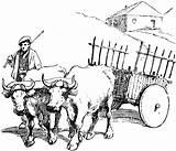 Bueyes Oxen Cart Campesino Pulling Carreta Bullock Carretas Buey Etc Lenguaje Google Rural sketch template