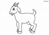 Goat Coloring Billy Cute Pages Color Printable Animals Goats Horns sketch template