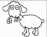 Coloring Sheep Preschool Pages Kindergarten sketch template