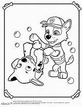Paw Patrol Rocky Coloring Pages Getdrawings sketch template