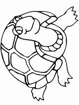 Coloring Turtle Pages Printable Popular Color sketch template