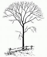 Tree Clipart Coloring Bare Winter Trees Fence Line Leafless Animated Drawing Pages Cartoon Colouring Trunk Color Fall Graphics Printable Gifs sketch template
