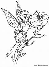 Coloring Pages Tinkerbell Silvermist Fairies Disney Fairy Printable Rosetta Color Drawing Ausmalbilder Adult Tinker Colouring Bell Zum Bilder Getdrawings Fee sketch template