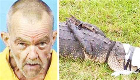 59 year old man arrested for having sex with an alligator