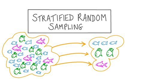stratified sampling formula