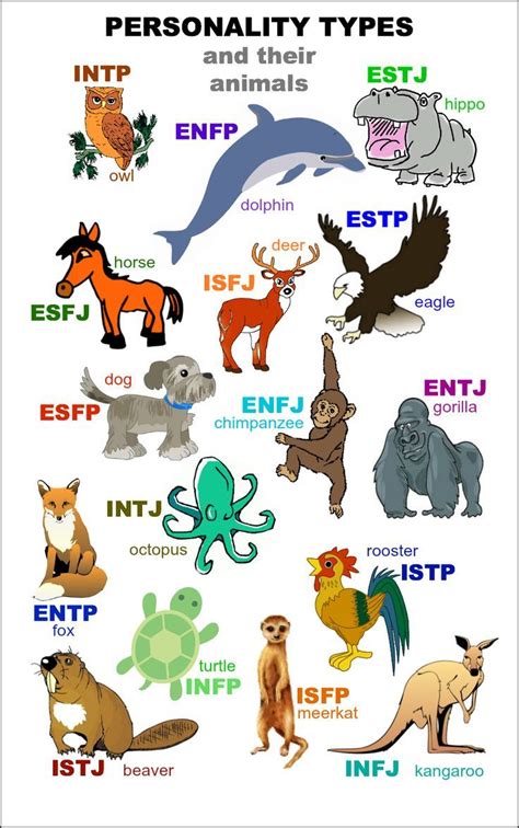 whats  animal personality type personality types enfp personality infp personality