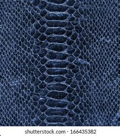 blue snake skin pattern texture background stock photo
