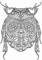 Coloring Pages Insect Adult Colouring Adults Mandala Printable Bug Insects Abstract Beetle Advanced Zentangle Detailed Animal Bugs Doodle Kleuren Volwassenen sketch template