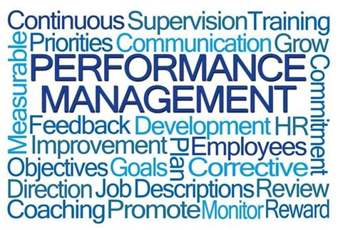 effective performance management system  guide