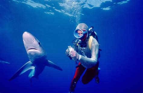 This 85 Year Old Shark Diver Who Worked On Jaws Shares Awe Inspiring