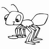 Formica Cicala Animali Formiche Stampare Ants Marching Formichina Disegnidacolorareonline Risultati Successivo sketch template
