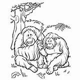 Gorilla Tarzan Gorillas sketch template