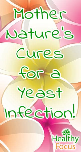 how to treat a yeast infection naturally healthy focus