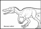 Baryonyx Tarbosaurus Carcharodontosaurus Coloringhome sketch template