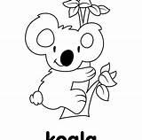 Koala Line Cute Drawing Coloring Pages Baby Cartoon Getdrawings Clipartmag sketch template