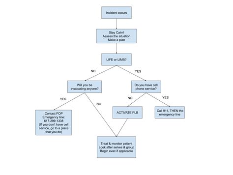 sample templates  emergency room flow charts