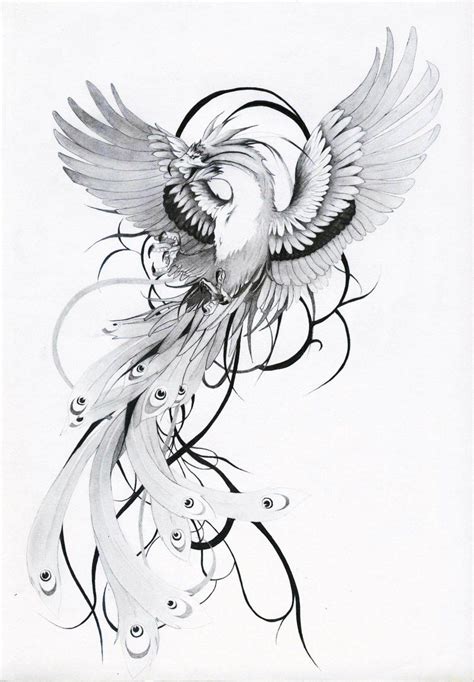 phenix recherche google phoenix tattoo feminine phoenix bird tattoos