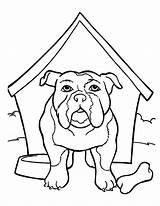 Anjing Mewarnai Bulldog sketch template