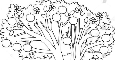 tree  roots coloring page telon colors