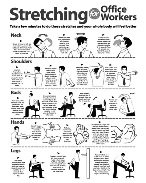 stretching exercises  office workers workout  work office exercise office chair workout