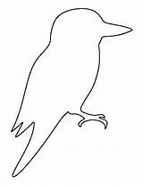 Aboriginal Vogel Schablonen Applikationen Zeichnen sketch template