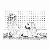 Surfnetkids Coloring Breed Dog Animals Labradors sketch template