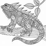 Reptile Sheets Zentangle Christianbook sketch template