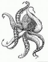Octopus Coloring sketch template