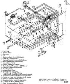 wiring diagram  mercruiser alternator  marine alternator   diagram wire alternator