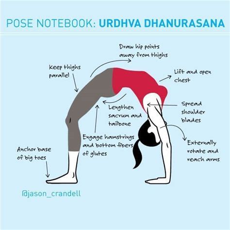 urdhva dhanurasana wheel pose infographic jason crandell yoga method