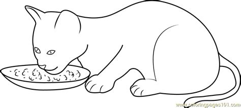 kitten eating  food coloring page  cat coloring pages