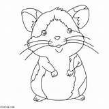 Hamster sketch template