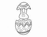 Easter Bunny Egg Coloring Coloringcrew sketch template