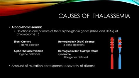 explorerance alpha thalassemia types  symptoms