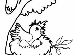 bird nest drawing    clipartmag