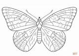 Butterfly Distelfalter Supercoloring Schmetterling Ausmalbild Monarch Davemelillo sketch template