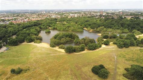 epping forest air view  parrot anafi  youtube
