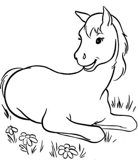 baby horse coloring page  svg cut file