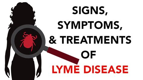Lyme Disease Signs Symptoms And Treatments That Every Woman Should
