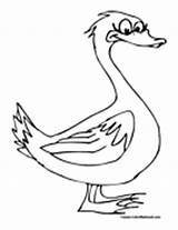 Coloring Goose Pages Geese Colormegood sketch template