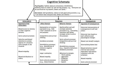 scipnp cognitive schemata  appraisal  socio cultural processes  scientific