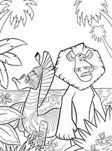Coloring Madagascar Pages Alex Marty Colouring sketch template