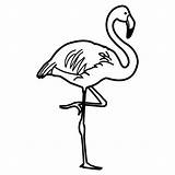 Flamenco Flamencos Pintar Flamingos Menta Educación Recursos Coloringp sketch template