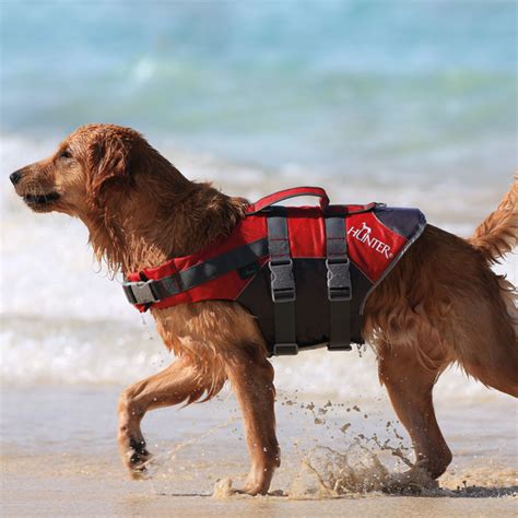 Schwimmweste Hund 3 Von 4 Hunter Hunde Moss Diverse Graaen