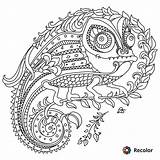 Pages Zentangle Coloring Printable Getcolorings Doodle Abstract sketch template
